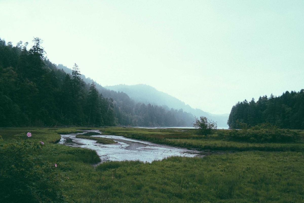 Sample test Gutenberg post 10 800 15